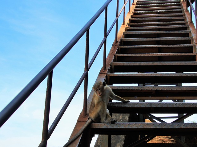 Les matériaux pour les escaliers métalliques d’extérieur