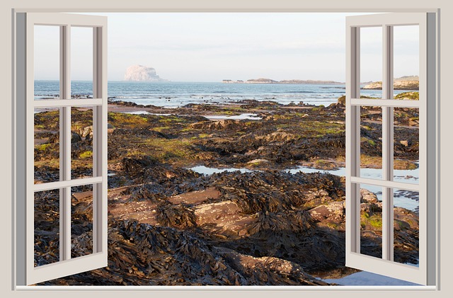 Menuiserie en Alu ou en PVC : Laquelle Choisir ?