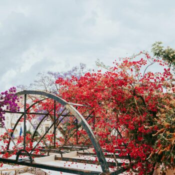 Pergolas