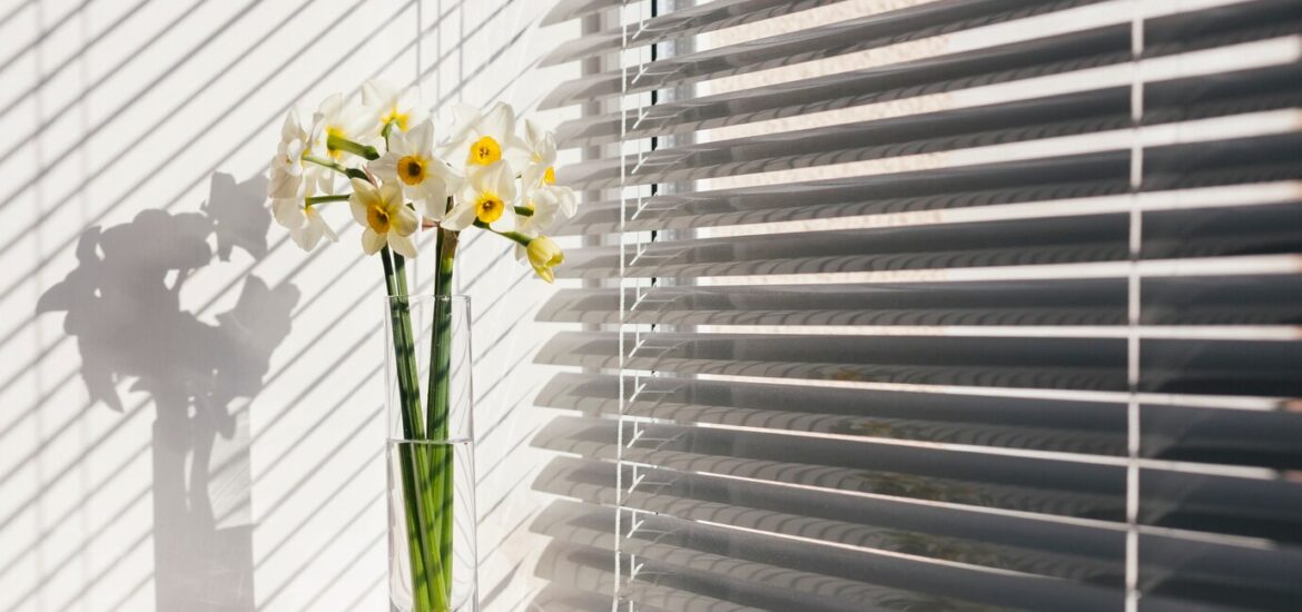 Quels matériaux choisir pour vos volets roulants : PVC, aluminium ou bois ?