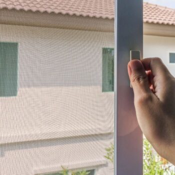 protection contre les insectes